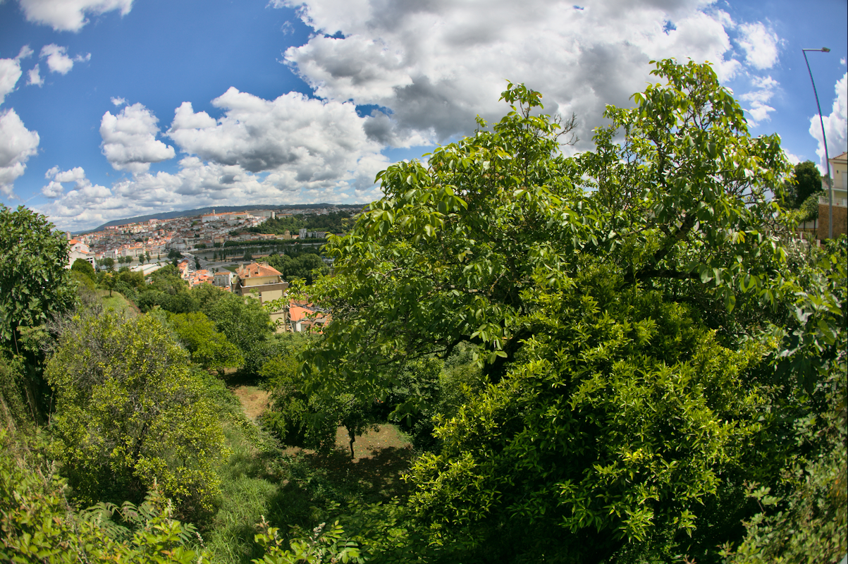 3 most unique vantage points in Coimbra.