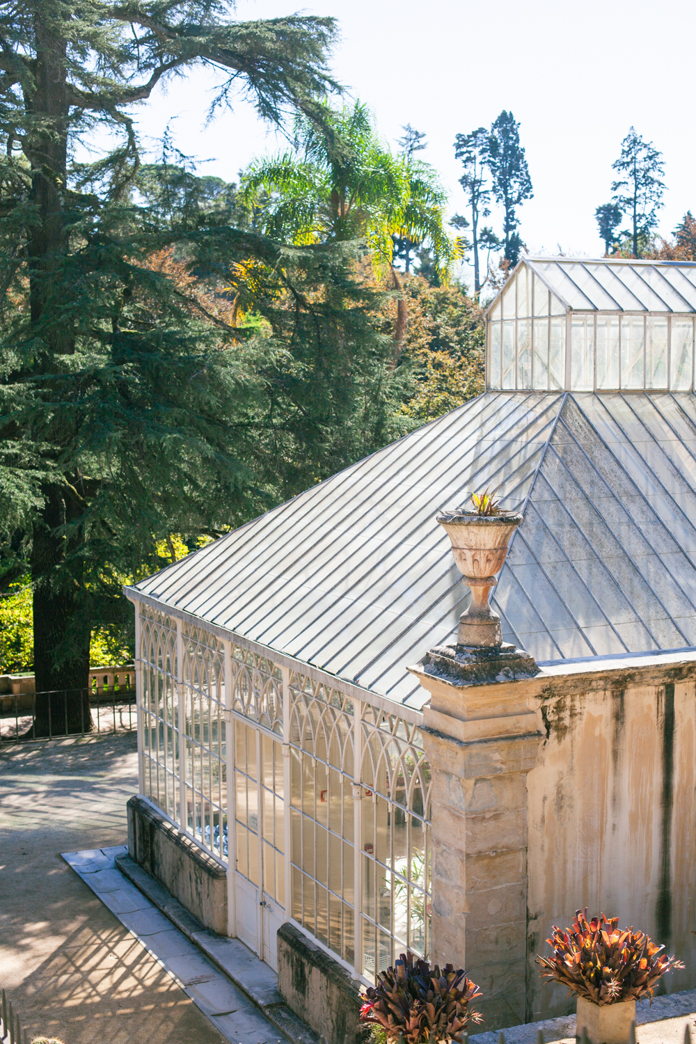 botanic-gardens-23
