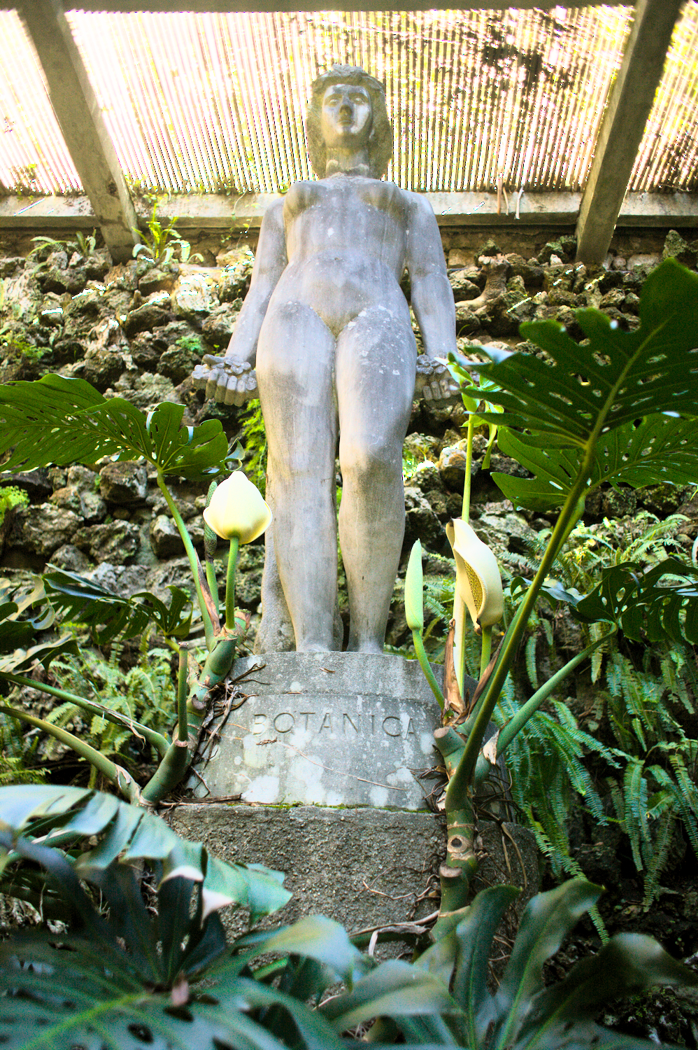 botanica-of-coimbra